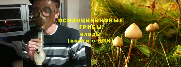 мет Алексин