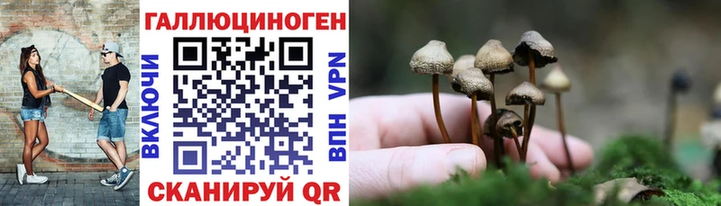Псилоцибиновые грибы Psilocybine cubensis  ссылка на мегу ССЫЛКА  Новая Ладога 
